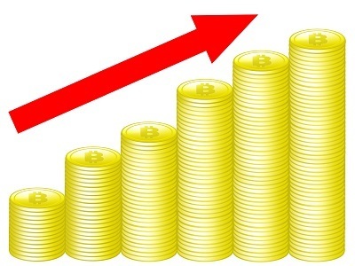 2623431.jpg